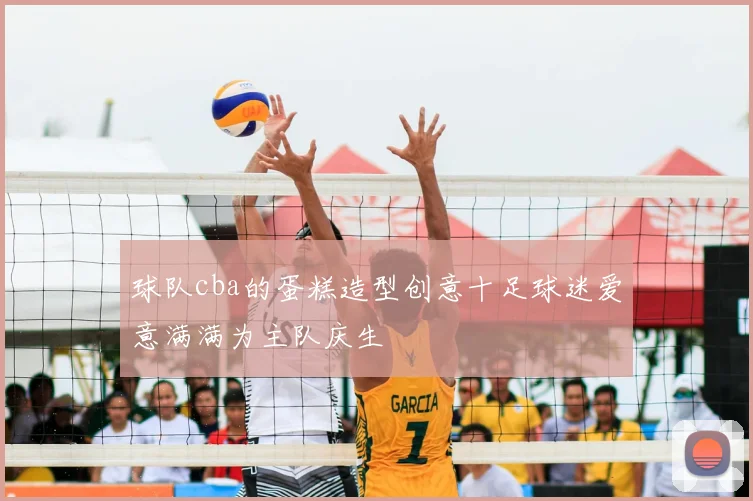 球队cba的蛋糕造型创意十足球迷爱意满满为主队庆生